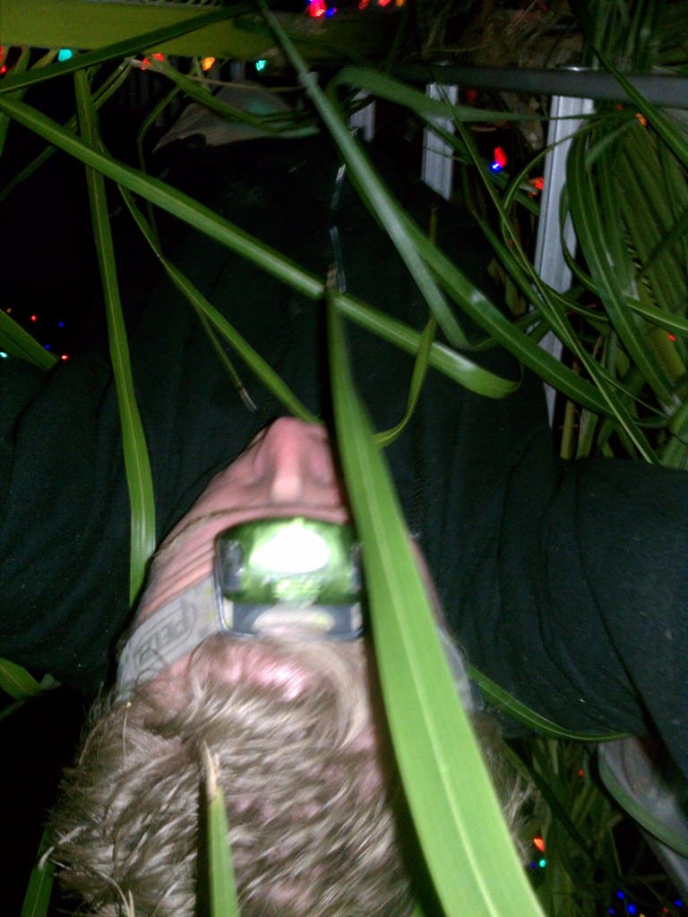 1d49d8fa d9d9 4fc9 9b54 d5a8d78ef767