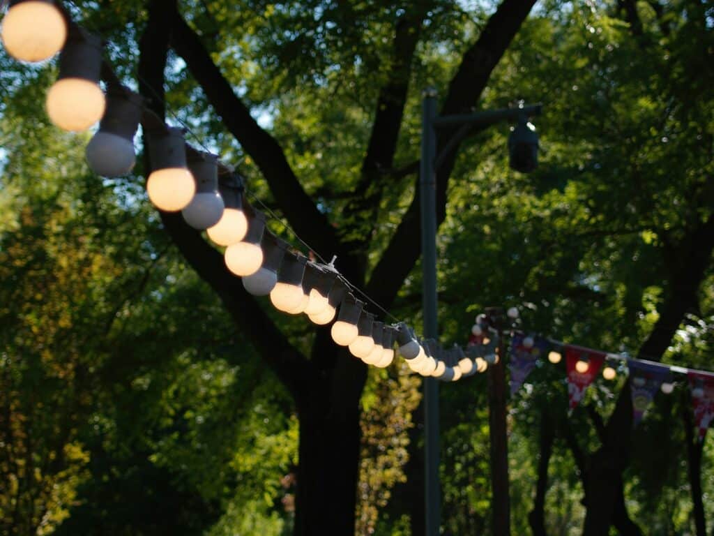 String of lights in a park with trees.