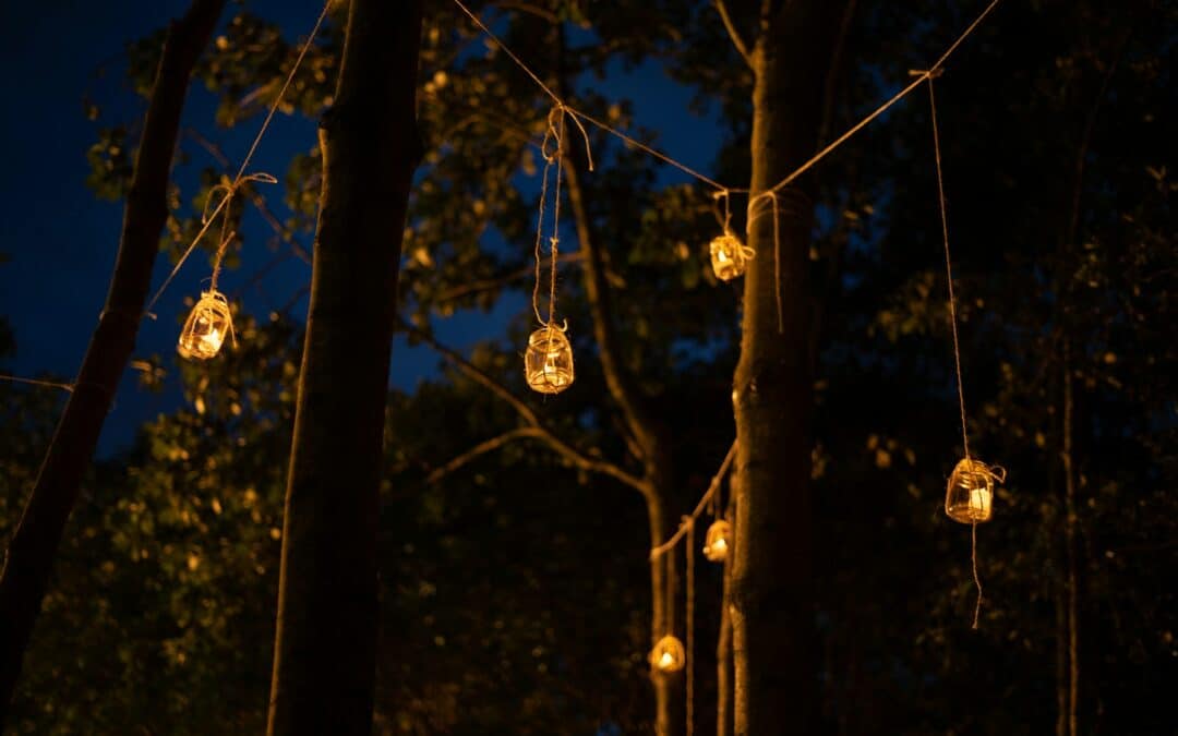 Learn One Simple Trick To Ensure Your Govee Strip Lights Last All Year