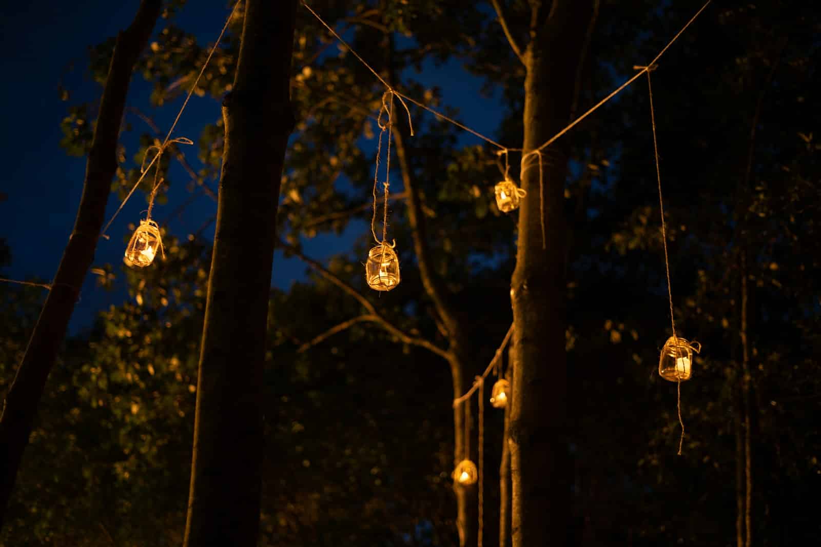 brown hanging ornament on brown tree branch during night time Learn One Simple Trick To Ensure Your (Govee Strip Lights) Last All Year