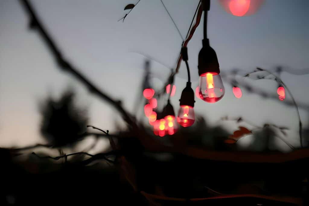 a bunch of light bulbs hanging from a tree