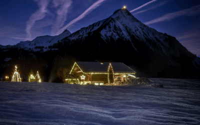 Why More Families Are Choosing Permanent Christmas Lights for Every Season