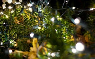 Outdoor Christmas Lights That Stay Up Safely in Every Season