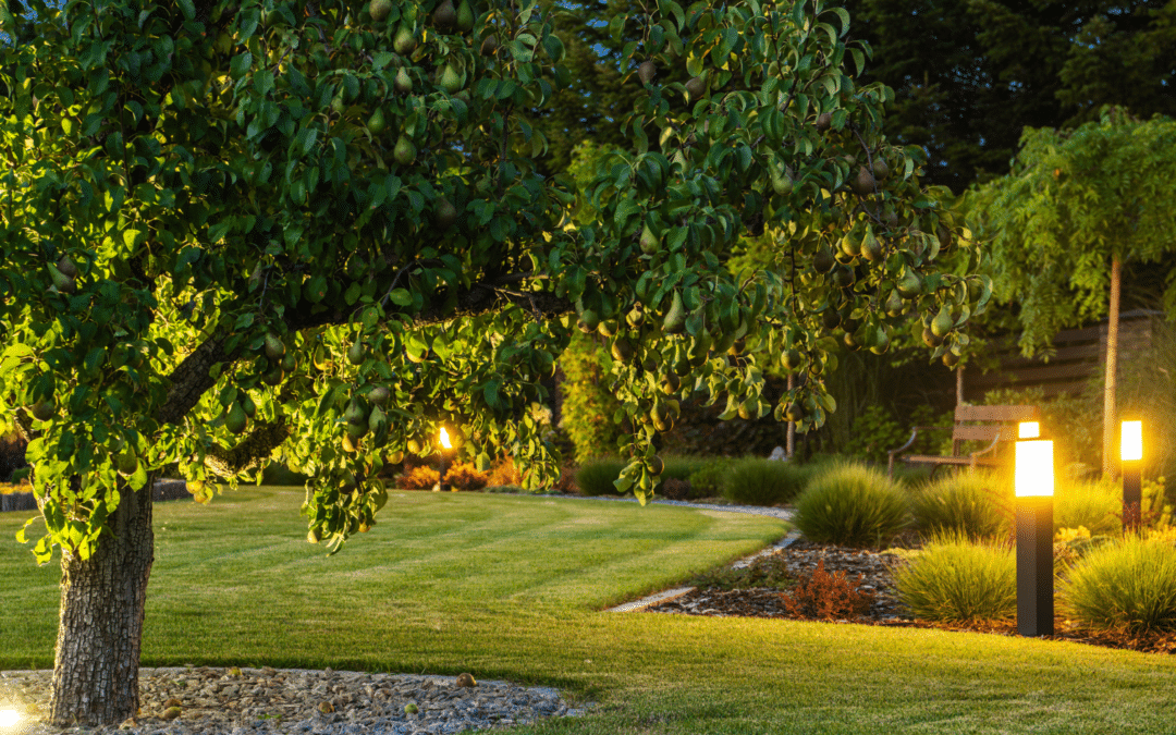 Govee Outdoor Lights: A Complete Guide to Stylish, Long-Lasting Illumination