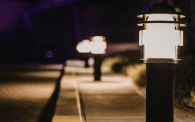 Outdoor Solar Lights: The Best Options for Year-Round Lighting