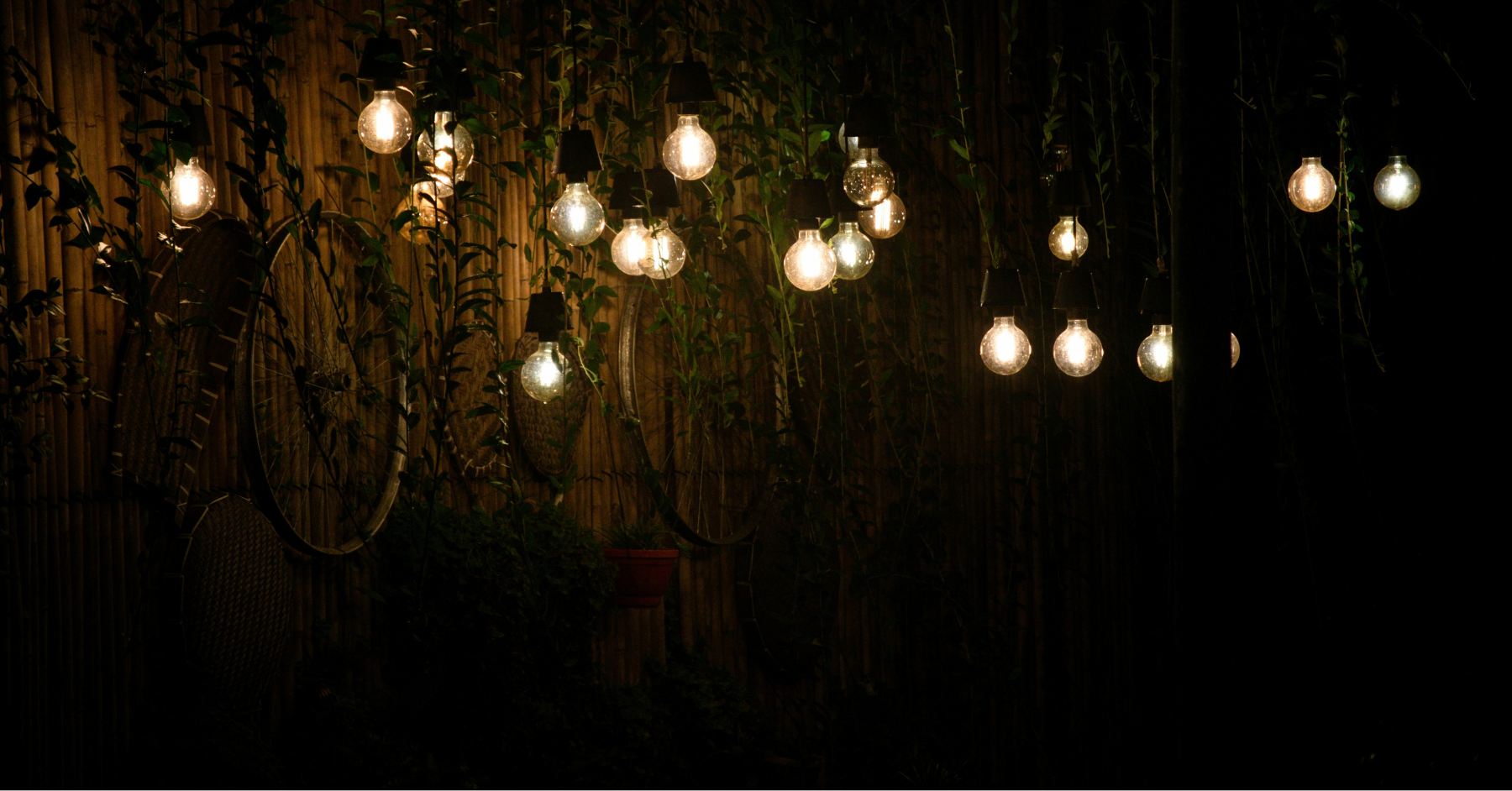 Photo by Israt Yasmin Piya on Unsplash govee pro permanent outdoor lights