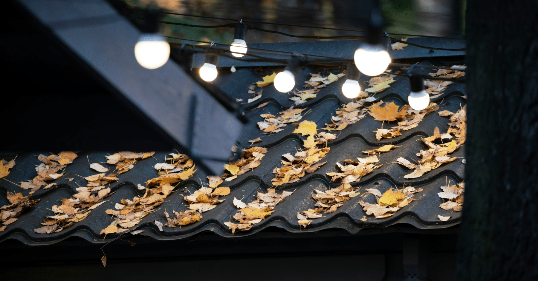 permanent outdoor lights