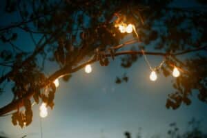 a bunch of lights that are on a tree