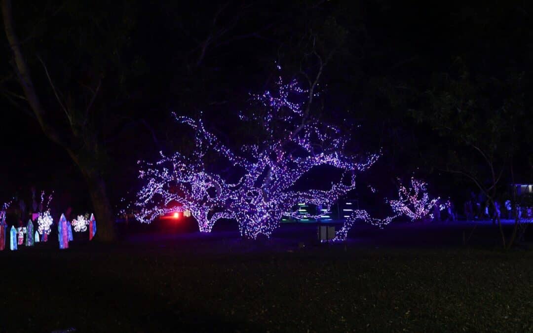 Professional Christmas Lights Results—Without Hiring an Installer