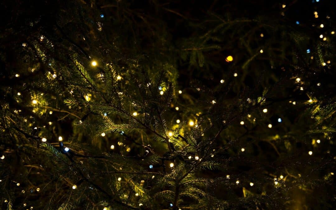 Outdoor Christmas Lights That Stay Up Safely in Every Season