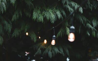 Govee Outdoor Permanent Lights Installation Guide: Mounting Tips for a Seamless Look