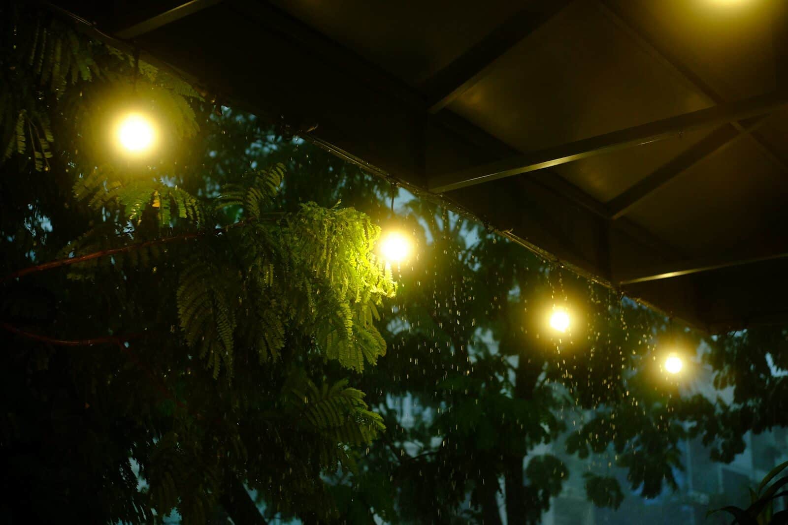 permanent outdoor lights