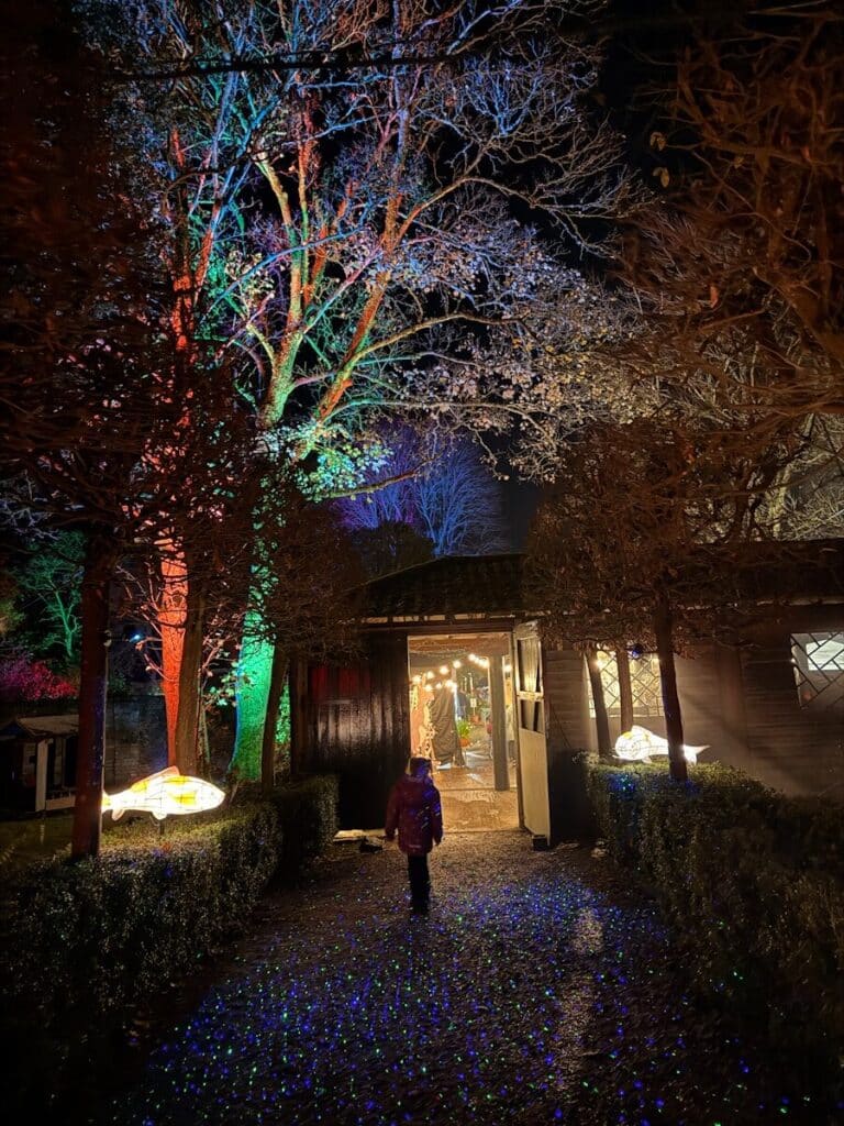 Person walks down a path lit by colorful lights