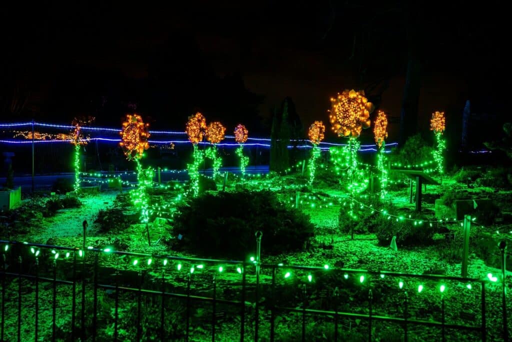 Trees decorated with green and orange lights at night.